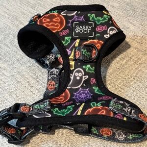 Sassy Woof Neon Frights harness